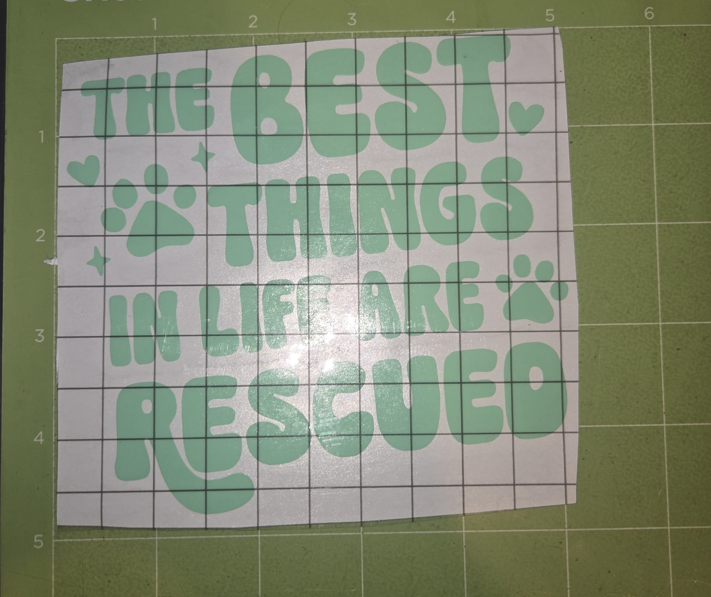 Pre-made Vinyl and items(Prices Range)